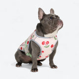 Colete refrescante para cães - Tempestade Tropical