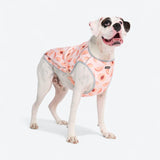 Peaches Cooling Vest