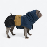 Dog Raincoat - Blue Gold Black||size:L,XL