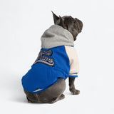 Dog Varsity Jacket - Blue
