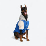 Dog Varsity Jacket - Blue