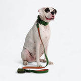 Green Orange Neoprene Leash