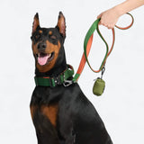 Green Orange Collar