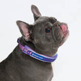 90s Retro Collar||size:A,B