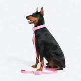 Leash and Poop Bag Holder Set - Pink