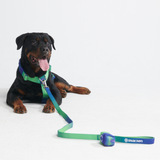 Arnês para cães sem tração com controle de conforto - Lime Wave