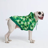 St. Paddy's Dog Hoodie - Shamrocks (Limited Edition)