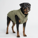 Olive Warmshield Jacket||size:4XL