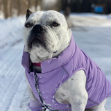 Lilac Warmshield Jacket||size:S,M,L,XL,2XL,3XL,4XL,5XL