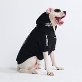 Halloween Dog Hoodie - Reflective Skeleton (2)