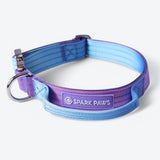 Conjunto de coleiras táticas para cães - anos 90 retrô (2"/5cm)