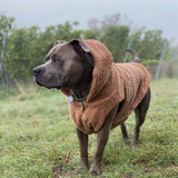 Jaqueta de lã para cachorro Teddy Sherpa - Marrom