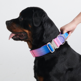 Conjunto de Coleira Tática para Cachorros - Cone de Neve (2"/5cm)