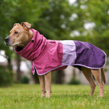 Dog Raincoat - Pink Lilac Purple||size:S,M,L,XL,2XL,3XL,4XL