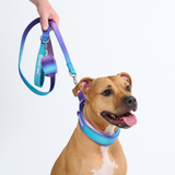 90s Retro Collar||size:C,D,E