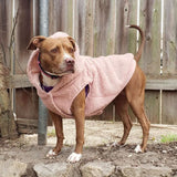 Jaqueta Teddy Sherpa Dog - Rosa