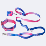 Snow Cone Collar||size:XS,S,M,L