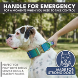 Lime Wave Collar||size:XS,S,M,L