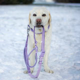 Lilac Collar||size:XS,S,M,L