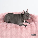 Pink Calm Couch Bed