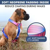 Snow Cone Harness||size:S,M,L