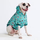 Christmas Dog Hoodie - Holiday Cheer
