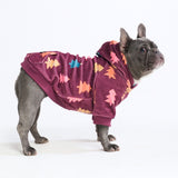Christmas Dog Hoodie - Candy Trees