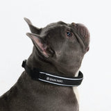 Black Martingale Collar||size:A,B