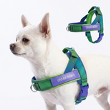 Lime Wave Grab and Go||size:1