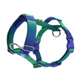 Arnês para cães sem tração com controle de conforto - Lime Wave