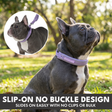 Lilac Martingale Collar||size:A,B