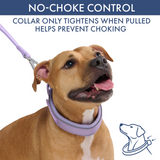 Lilac Martingale Collar||size:C,D,E