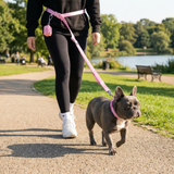 Pink Martingale Collar||size:A,B,C,D,E