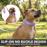 Lilac Martingale Collar||size:C,D,E