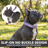 Lilac Martingale Collar||size:A,B