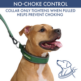 Green Martingale Collar||size:C,D,E