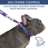 90s Retro Martingale Collar||size:A,B