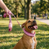 Pink Martingale Collar||size:A,B,C,D,E