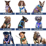 Conjunto de arreios para cães sem tração com controle de conforto - Cone de Neve