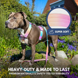 Conjunto de arreios para cães sem puxão com controle de conforto - Glacê Pastel