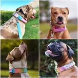Coleira Tática para Cachorros - Cobertura Pastel (2"/5cm)