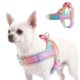 Pastel Icing Grab and Go||size:1
