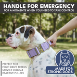 Coleira Tática para Cachorros - Lilás (1,5"/4cm)