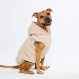 Jaquetas para cães Teddy Sherpa
