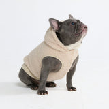Jaquetas para cães Teddy Sherpa