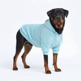 Essential Baby Blue Hoodie||size:4XL,5XL