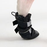 Dog Rainboots, Waterproof Dog Shoes - Black