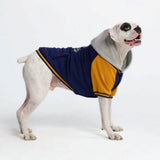 Dog Varsity Jacket - Blue Yellow