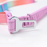 Pastel Icing Neoprene Leash