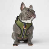 Arnês para cães ultramacio para roupas esportivas - Verde